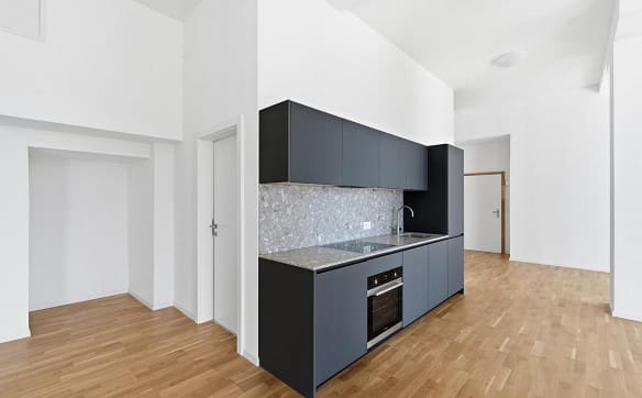 Immobilie in Stein Ag - Exklusive 2.5-Zimmer-Loftwohnung direkt am Rhein - Bild 4