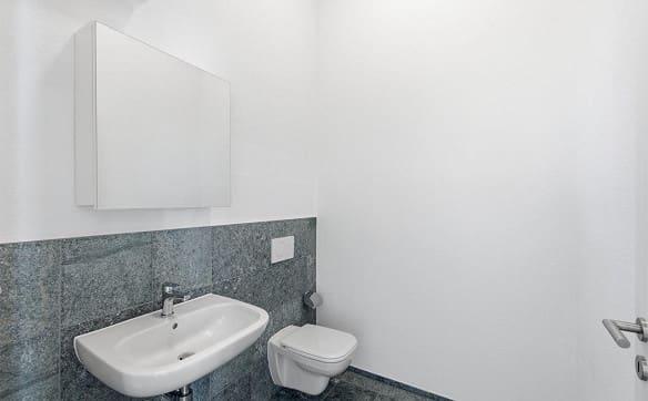 Immobilie in Stein Ag - Exklusive 2.5-Zimmer-Loftwohnung direkt am Rhein - Bild 8