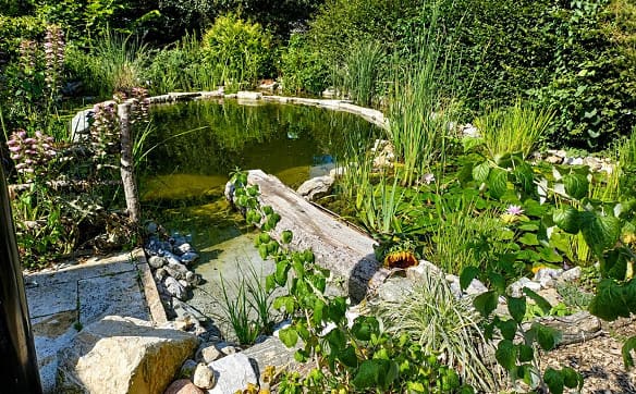 Immobilie in Lausanne 27 - Entre parc naturel et vie urbaine : un havre d'exception à Lausanne - Bild 3