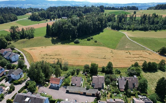 Immobilie in Oetwil Am See - charmantes 4.5-Zimmer-Reiheneinfamilienhaus in Oetwil am See - Bild 2