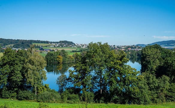 Immobilie in St. Erhard - topmoderne Eigentumswohnung in der neuen Überbauung am-wiberg.ch - Bild 4