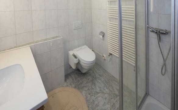 Immobilie in Teufen Ar - EFH für Singles, Paare, eine kleine Familie und/oder Gartenliebhaber - Bild 5