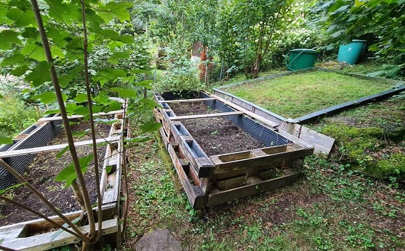 Immobilie in Oberterzen - Frisch renoviertes Einfamilienhaus mit idyllischem Garten - Bild 5