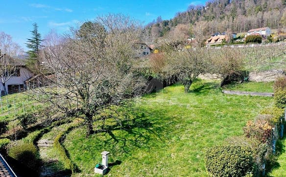 Immobilie in Bougy-villars - Maison de caractère entre vignes et lac, proche de Nyon - Bild 5