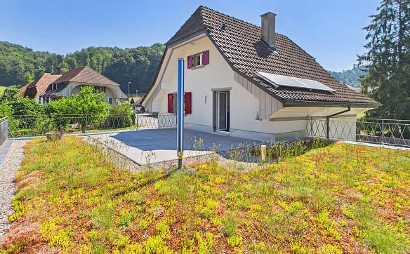 Immobilie in Riedtwil - Haus auf grosser Parzelle (1112m2) und XXL-Garage - Bild 13