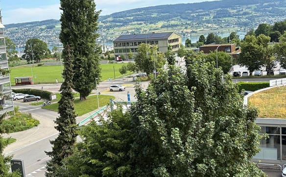 Immobilie in Horgen - Attraktive 3.5-Zimmer-Wohnung mit teilweisem Seeblick in Horgen - Bild 2
