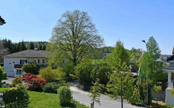 Immobilie in Frauenfeld - 159 m² | 4.5-Zi.-Eigentumswohnung im OG Nr. A101 - Bild 10