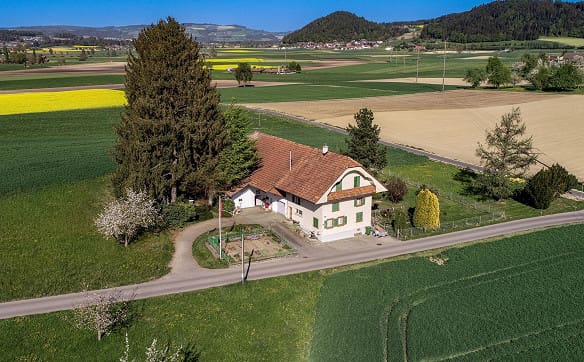 Immobilie in Ettiswil - Charmante Liegenschaft mit Entwicklungspotenzial - Bild 0