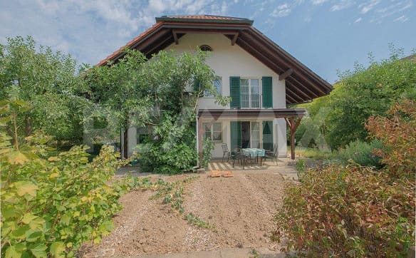 Immobilie in Riniken - Naturnah leben - nachhaltig wohnen: Freistehendes 4.5 Zimmer-Einfam... - Bild 0