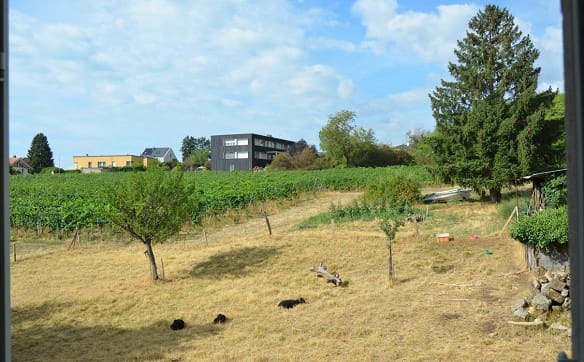 Immobilie in Hauterive Ne - Magnifique duplex en attique - Bild 11