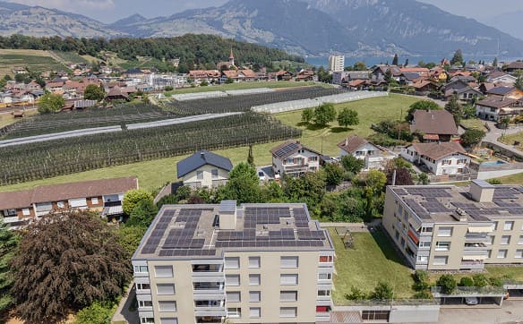 Immobilie in Spiez - Wohnung mit Niesenblick in Spiez - Bild 3