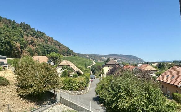 Immobilie in Cornaux Ne - Lumineux, verdoyant et tranquille - Avec balcon - Bild 3