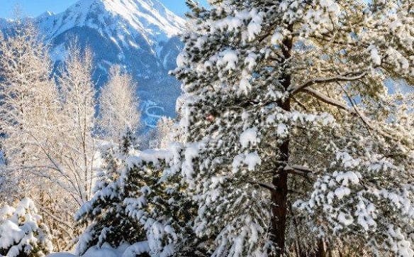 Immobilie in Gstaad - Appartement 5½ pièces - 150m2 - avec jardin à Gstaad - Bild 5