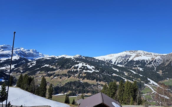Immobilie in Lenk Im Simmental - Chalet Bärgstübli am Bühlberg mit wunderbarer Aussicht auf die Berge - Bild 23