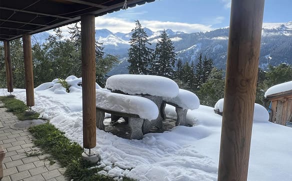 Immobilie in St. Peter - Verkauf charmantes, möbliertes Ferienhaus im Skigebiet Hochwang - Bild 12