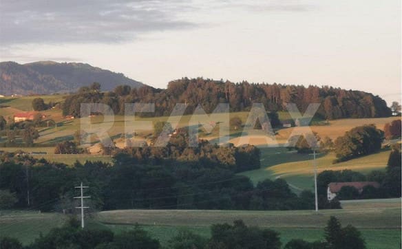 Immobilie in Alterswil Fr - Ferme de charme, à rénover - Bild 1