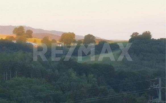 Immobilie in Alterswil Fr - Ferme de charme, à rénover - Bild 5