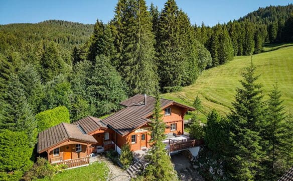 Immobilie in Alpthal - CHALETKOMPLEX AM WALDRAND AUF DER BRUNNIALP - Bild 0