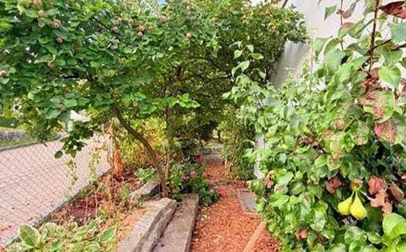 Immobilie in Wetzikon Zh - "Aussergewöhnlich grosszügiges 7.5-Zimmer mit Südgarten und vielsei... - Bild 6