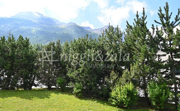 Immobilie in St. Moritz - Zeitgemässes Wohnen mit separatem Studio in naturnaher Lage - Bild 2