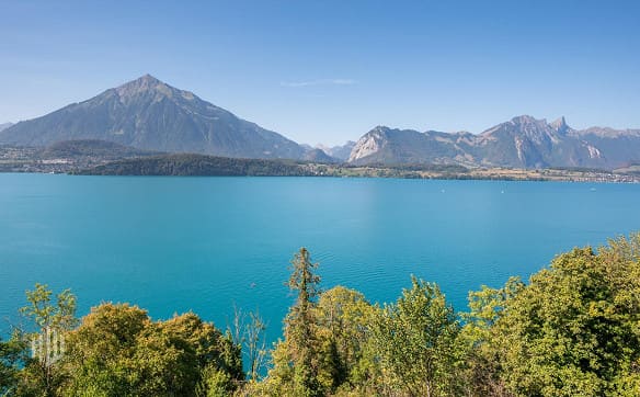 Immobilie in Gunten - ImmoWyss -  Wohnen über dem Thunersee mit traumhafter Panoramasicht - Bild 1