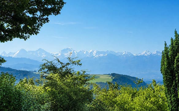 Immobilie in Zimmerwald - Einfamilienhaus mit Weitblick - Bild 1