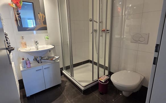 Immobilie in Azmoos - Einmalige Gelegenheit in Azmoos 4.5 Zimmer-Gartenwohnung zu verkaufen - Bild 10