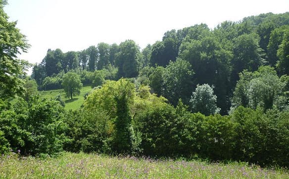 Immobilie in Romainmôtier - CHARME DE L'ANCIEN AVEC CACHET - Bild 1