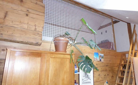 Immobilie in Vilters - 5-Zimmer-Einfamilienhaus mit angebautem Schopf und grosszügigem Ums... - Bild 15