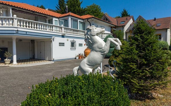 Immobilie in Bennwil - Ferienfeeling im Toskanahaus mit grosszügigem Umschwung und drei Ga... - Bild 2