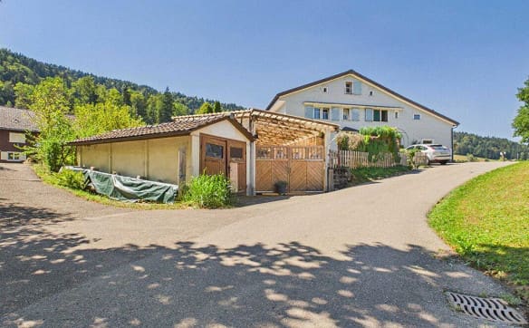 Immobilie in Ebnat-kappel - Wohnhaus mit grossem Biotop, Garage und zwei Mehrzweckgebäuden - Bild 1