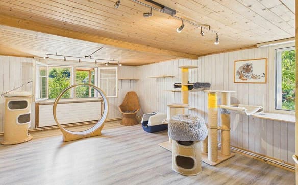 Immobilie in Ebnat-kappel - Wohnhaus mit grossem Biotop, Garage und zwei Mehrzweckgebäuden - Bild 12