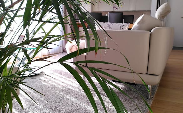 Immobilie in Udligenswil - Charmante 5.5-Zimmer-Maisonette-Wohnung zwischen Zug und Luzern - Bild 3