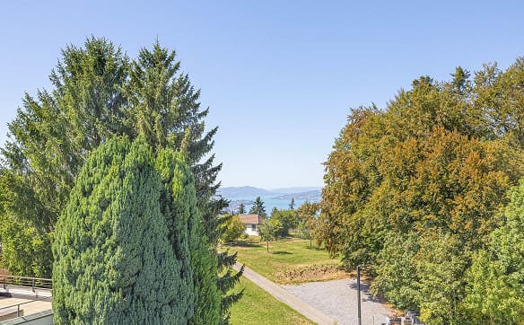 Immobilie in Feusisberg - Geniessen Sie das perfekte Zusammenspiel von Natur und Architektur - Bild 0