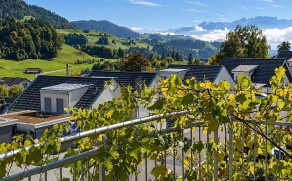 Immobilie in Gibswil - PANORAMASICHT MIT VIEL PLATZ UND FLEXIBLER NUTZUNG - Bild 1