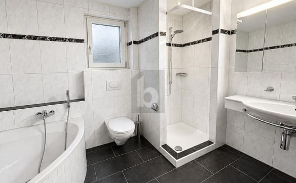 Immobilie in Gibswil - PANORAMASICHT MIT VIEL PLATZ UND FLEXIBLER NUTZUNG - Bild 4