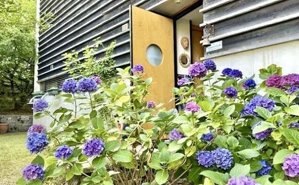 Immobilie in Rossura - 5 1/2-Zimmer-Haus mit grossem Umschwung an sehr ruhiger, Lage / cas... - Bild 18