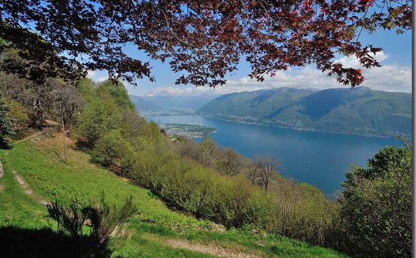 Immobilie in Ronco Sopra Ascona - Wie in einem Adlerhorst!  - Bild 1