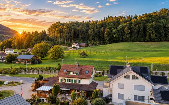 Immobilie in Dietfurt - Freistehendes Einfamilienhaus im Herzen des Toggenburgs - Bild 3