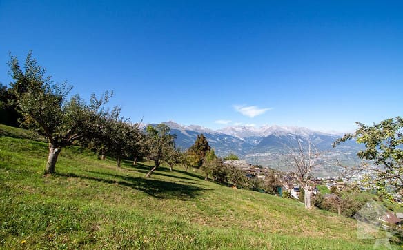 Immobilie in Basse-nendaz - Chalet de 146 m2 à construire sur un terrain de 1000 m2 - Bild 3