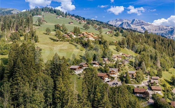 Immobilie in Lenk Im Simmental - Alpencharme aus Rundholz - Wohnen mit Weitblick an der Lenk - Bild 1