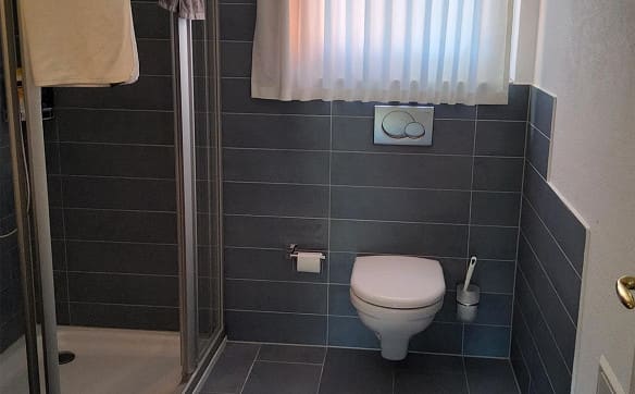 Immobilie in Bad Ragaz - Einziehen und rundum Wohlfühlen  - Bild 4