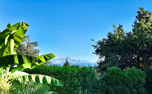 Immobilie in Zihlschlacht - Familienliegenschaft mit wunderschönem Garten - Bild 7