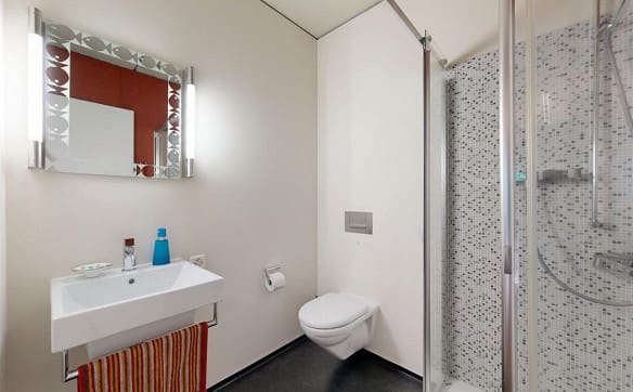 Immobilie in Richterswil - Stilvolle 3.5-Zimmer-Loftwohnung in Richterswil - Bild 7