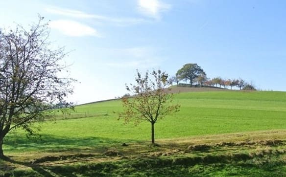 Immobilie in Roggliswil - 4.5-ZI-Parterre-Wohnungen - gedeckter Sitzplatz mit Grünfläche - Bild 10