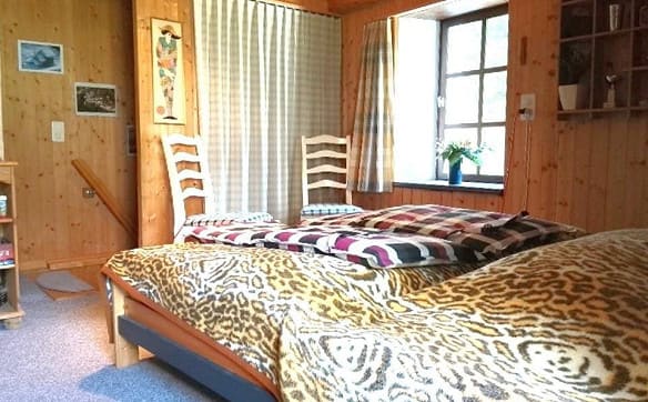 Immobilie in Vergeletto - 3 1/2-Zimmer-Rustico mit vielen Nebenräumen, sehr ruhige, sonnige A... - Bild 5