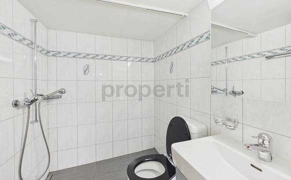Immobilie in Hohtenn - Komplett Möbliert, Sanierter Altbau-Charme (2015), Inklusive Parkpl... - Bild 6