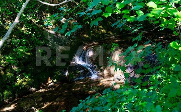 Immobilie in Schwarzenberg Lu - Viel Platz, viel Natur und grosses Potenzial – Grosszügiges Einfami... - Bild 12