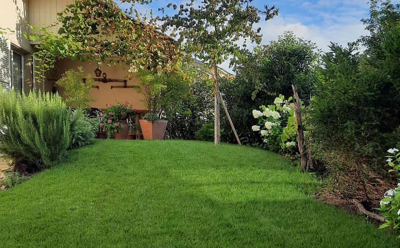 Immobilie in Laufen - Freistehendes 6-Zimmer-Einfamilienhaus mit weitläufigem Garten - Bild 17