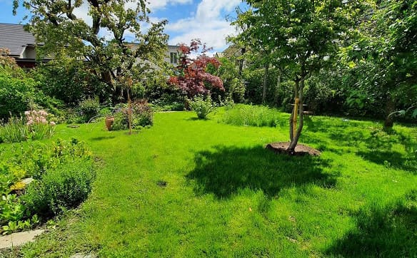 Immobilie in Laufen - Freistehendes 6-Zimmer-Einfamilienhaus mit weitläufigem Garten - Bild 20